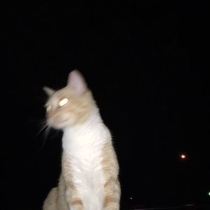 Meet your Posher, Caleb